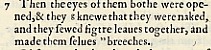 Excerpt from 'Breeches' Geneva Bible